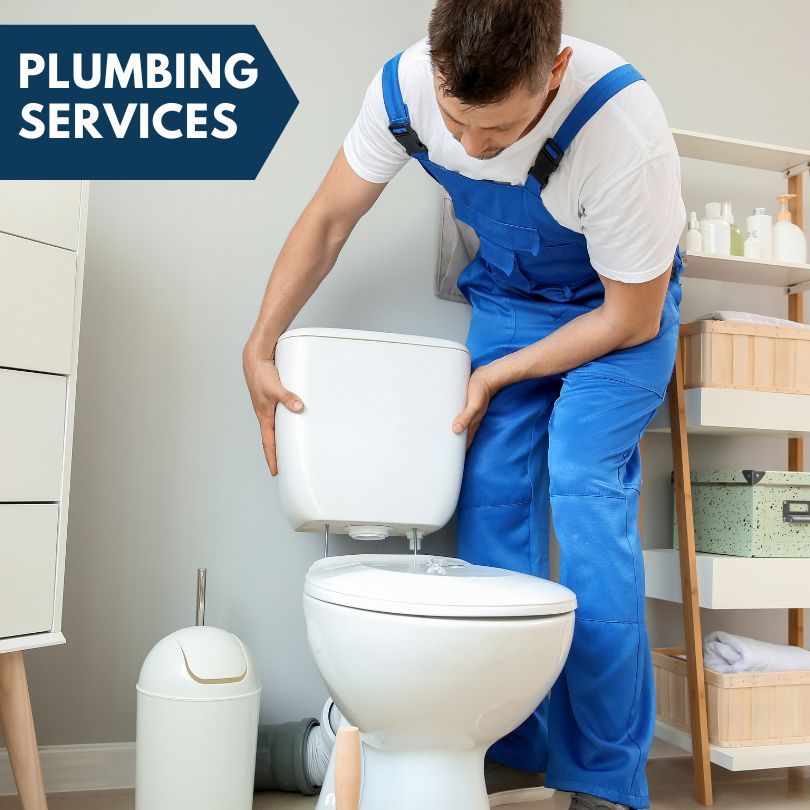 Plumbing Company in Radom, IL